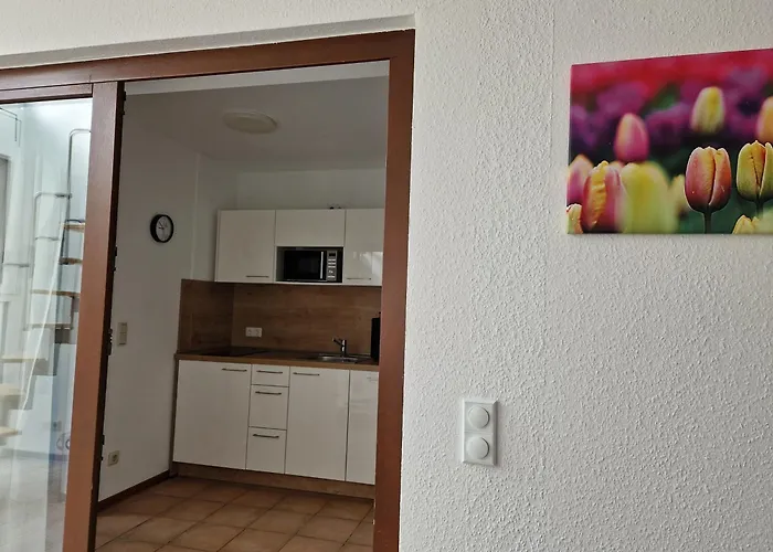 Freyas Walderlebnis * Stromberg (Hunsrueck)